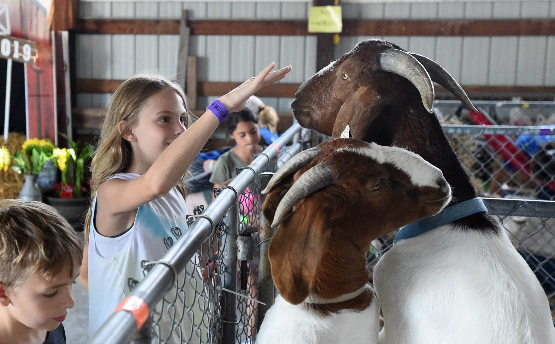 Racine County Fair 2019